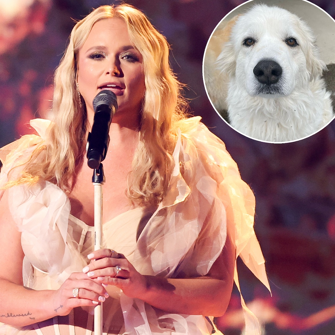 Miranda Lambert Mourns Death of Her Dog Thelma in Moving Tribute